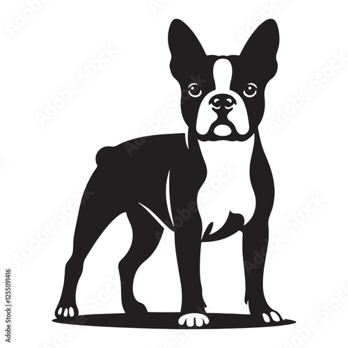 Iconic Boston Terrier silhouette with bold posture and details - Boston Terrier illustration - minimalist Boston Terrier vector - dog silhouette
