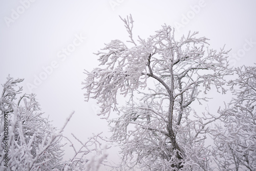 Wallpaper Mural Eislandschaft Ruppersthal Niederösterreich Torontodigital.ca