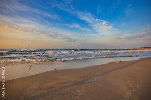 Fototapeta Naklejka Na Ścianę i Meble -  the shores of the Baltic Sea