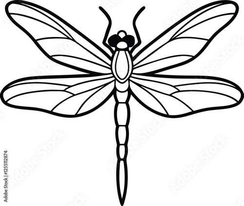 dragonfly on white background