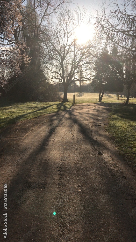 Naklejka premium Forest tree landscape 