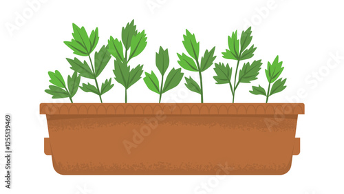 Box with seedlings of microgreens. Coriander shoots. Harvesting, vitamins in greens and vegetables. Home garden. Spring seedlings. Vector illustration isolated on transparent background.