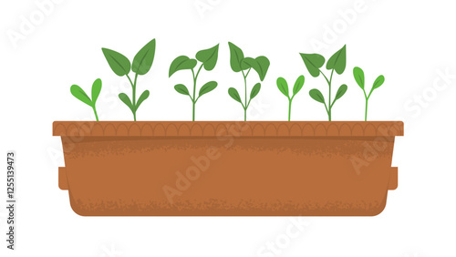 Box with seedlings of microgreens. Pepper shoots. Harvesting, vitamins in greens and vegetables. Home garden. Spring seedlings. Vector illustration isolated on transparent background.
