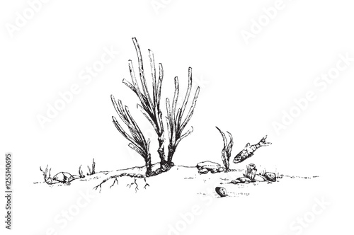 Posidonia oceanica seagrass vector illustration. Neptune grass or Mediterranean tapeweed drawing.