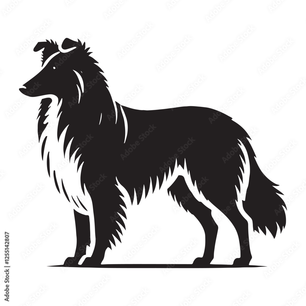 Versatile Collie silhouette designed for various creative uses - Collie illustration - minimal Collie vector - dog silhouette
Versatile Collie silhouette designed for various creative uses - Collie illustration - minimal Collie vector - dog silhouette
