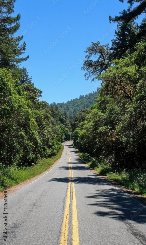 Fototapeta premium Straight road winds into a dense forest surrounded by lush greenery and blue sky. Generative AI