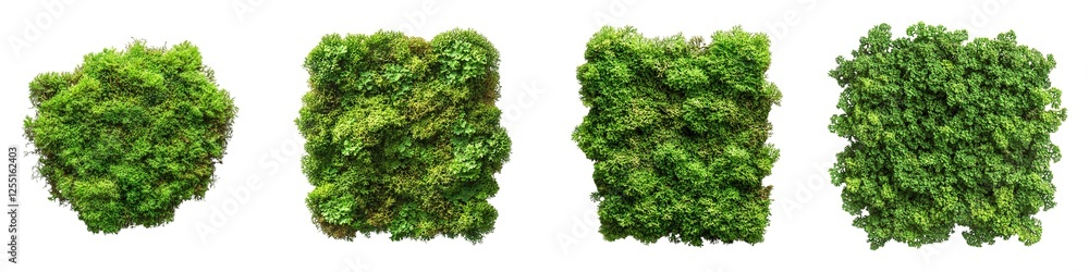 Obraz premium Vibrant Green Moss Clumps with Rich Texture on Transparent Background