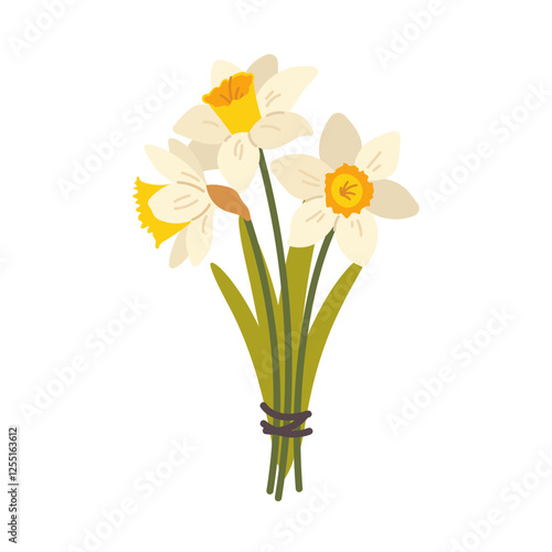 White flat daffodil on white background. Spring flower narcissus, bouquet of daffodils. Vector isolated icon