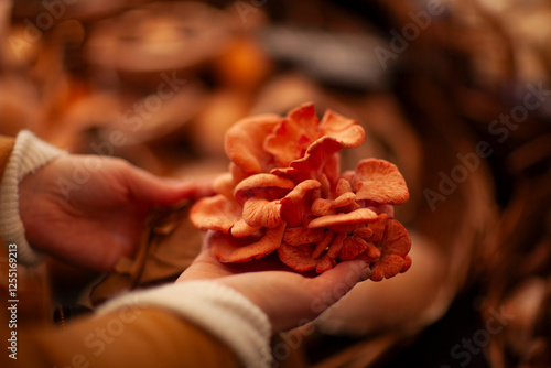 Food,