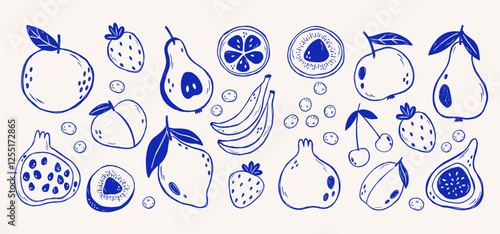 Set of various hand draw line art fruits. Doodle fruit illustration.