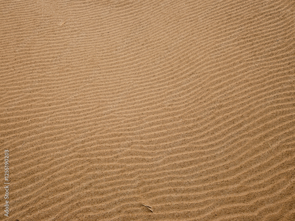 Mesmerizing Sand Dunes Texture: Nature's Rhythmic Patterns in the Ebro Delta, Catalonia, Spain Mesmerizing Sand Dunes Texture: Nature's Rhythmic Patterns in the Ebro Delta, Catalonia, Spain