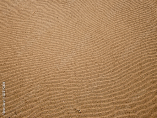Mesmerizing Sand Dunes Texture: Nature's Rhythmic Patterns in the Ebro Delta, Catalonia, Spain