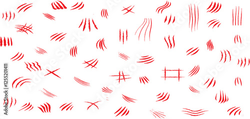 Animal claw paw marks, scratches, talons cuts cat, tiger, dog, lion, monster isolated