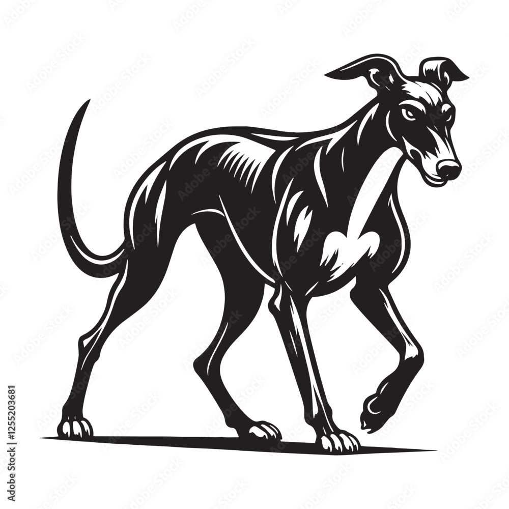 Obraz premium Beautifully detailed Greyhound silhouette with elegant curves - Greyhound illustration - minimal Greyhound vector - dog silhouette 
