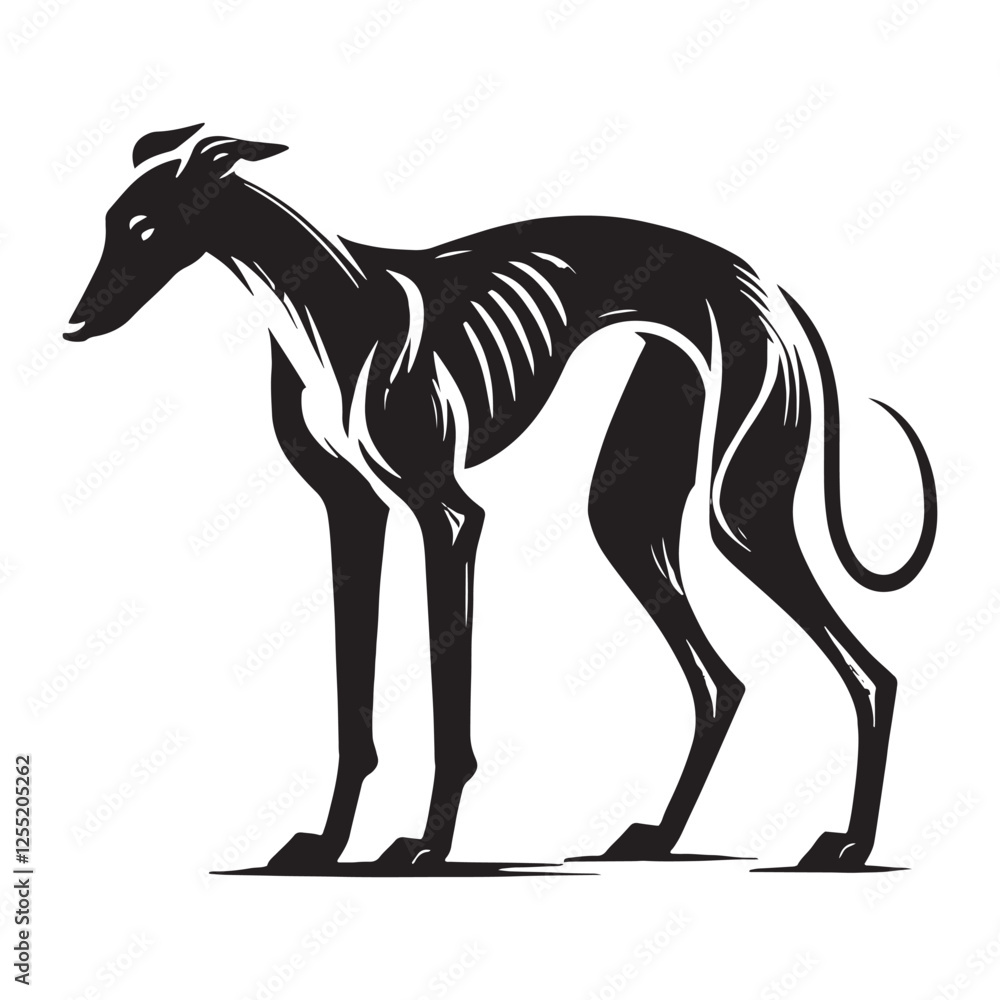 Obraz premium Minimalist Greyhound silhouette highlighting elegance and speed - Greyhound illustration - minimal Greyhound vector - dog silhouette 