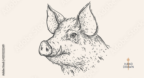 Pork, pig, hog. Hand drawn. Vintage retro print, black white pig head, pork drawing, engrave old school style. Sketch artwork ink pencil style drawing. Butchery, pork pig farm. Vector Illustration