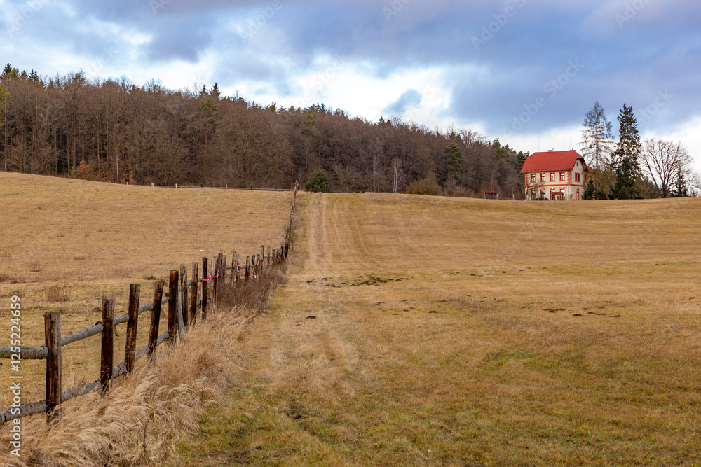 House on the edge of the forest. Early spring. Czechia.