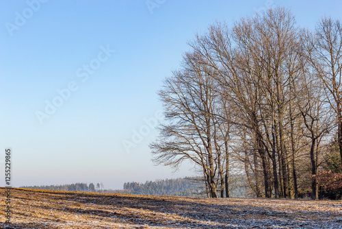 Obraz na płótnie Forest and field on a cold winter morning in South Bohemia. w salonie