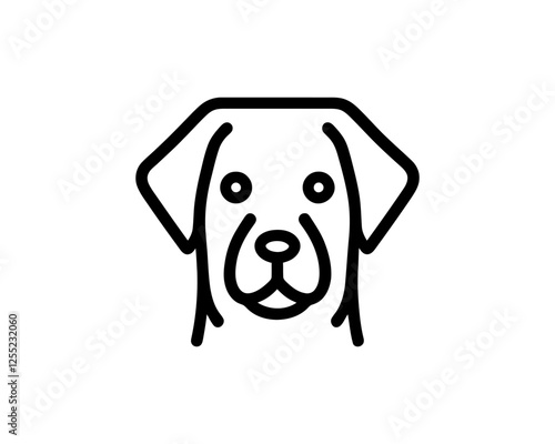 black labrador retriever dog