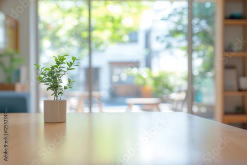 serene indoor scene featuring a small potted plant on a wooden table with a bright  blurred garden view outside