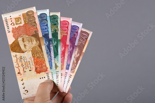 Obraz na płótnie Pakistani money in the hand on a gray background