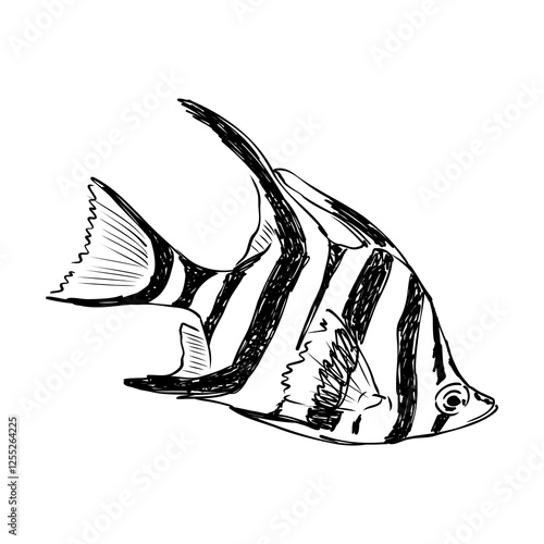 stickleback fish, vector sketch fish line ink sketch. Hand drawn