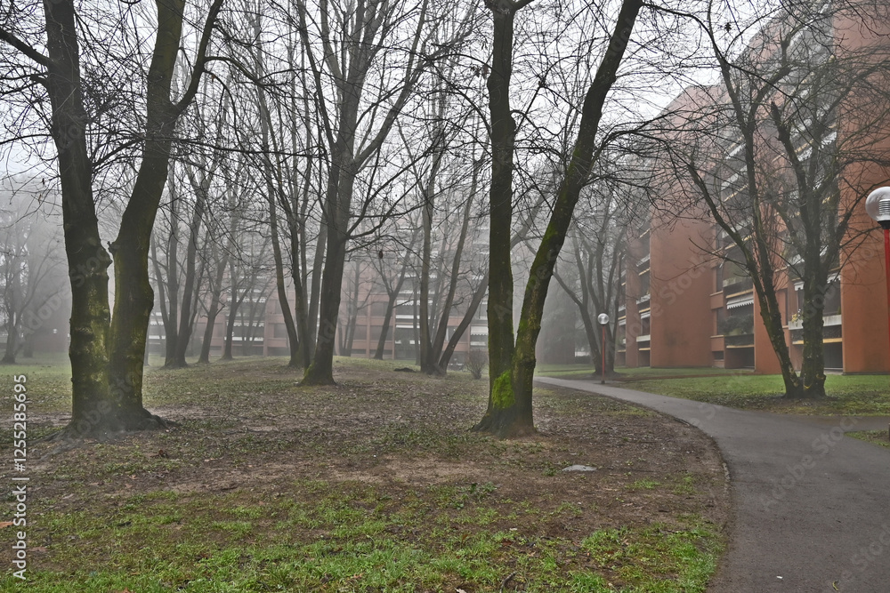 Inverno e nebbia a Basiglio. sentieri, parco e viali di Milano 3, Lombardia Inverno e nebbia a Basiglio. sentieri, parco e viali di Milano 3, Lombardia