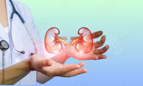 Doctor examines the inside of the kidney. Kidney cancer and kidney disease concept. Nephrologist isolated on light blue background.  photo