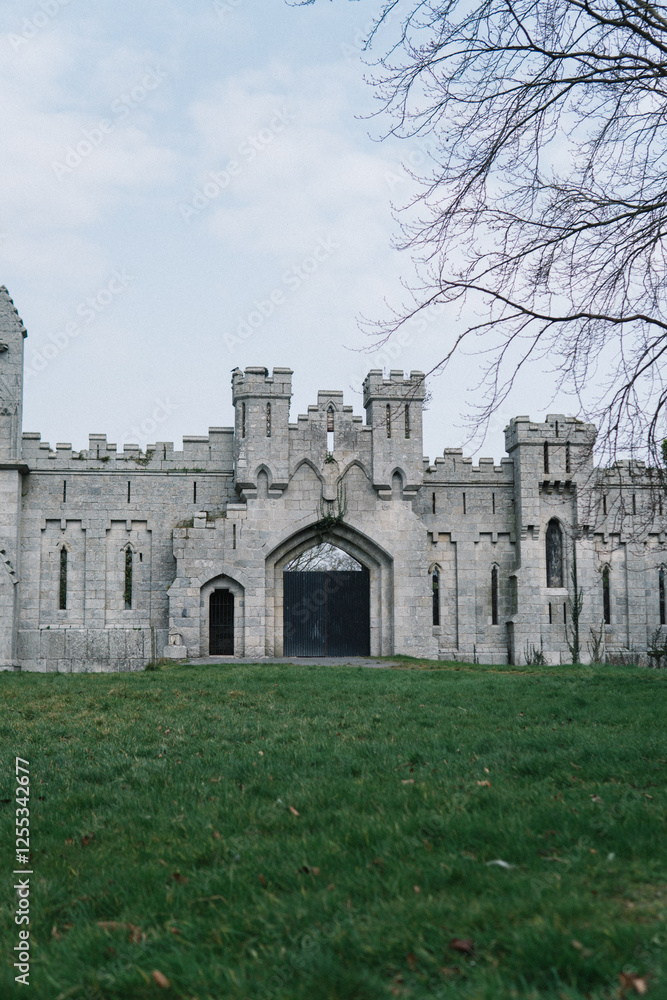 Fototapeta premium old castle in ireland