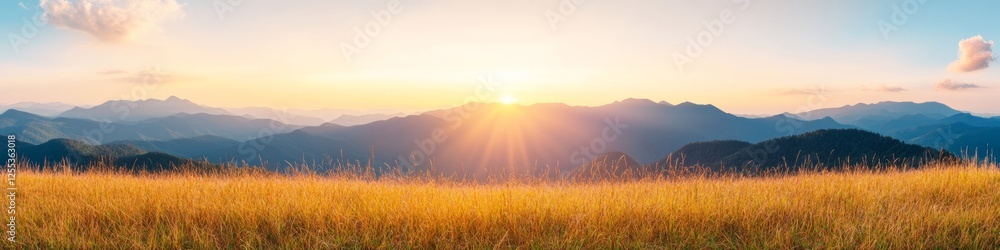 Fototapeta premium Panoramic Mountain Landscape Golden Grass and Misty Peaks at Sunset - Sustainable Travel Visuals and Scenic for Outdoor Adventure Campaigns