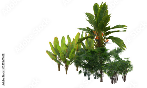 green plant isolated on white photo