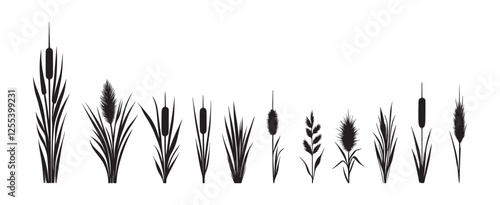 Cattail reeds - a set of silhouette drawings isolated on a white background. Vector icons illustration .Set of simple silhouettes of Bulrush or reed or cattail or typha leaves in black isolated 