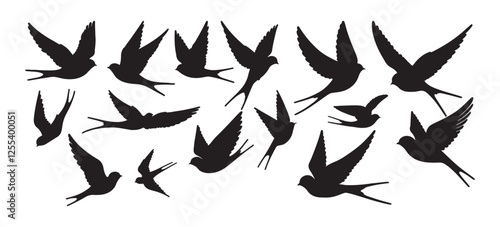 set of hand drawn  Swallows silhouette isolated on white background. Bundle silhouette.