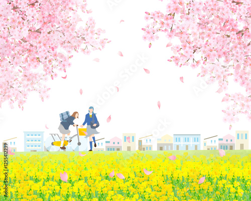 Cherry blossom trees and rape blossoms blooming along the bank,  two women students walking and biking, graduation and entrance, people vector illustration white background vector illustration