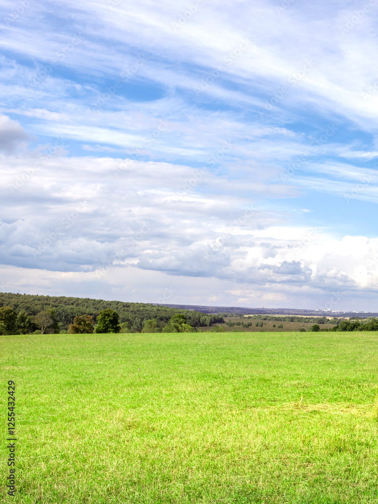 Large, open field with a clear blue sky