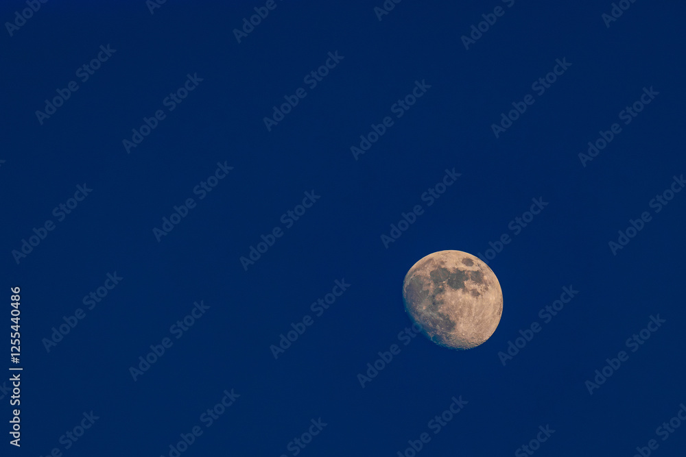 A detailed waxing gibbous moon is set against a deep blue sky. The craters and surface textures are clearly visible, creating a serene and captivating celestial scene. Copy space included. A detailed waxing gibbous moon is set against a deep blue sky. The craters and surface textures are clearly visible, creating a serene and captivating celestial scene. Copy space included.