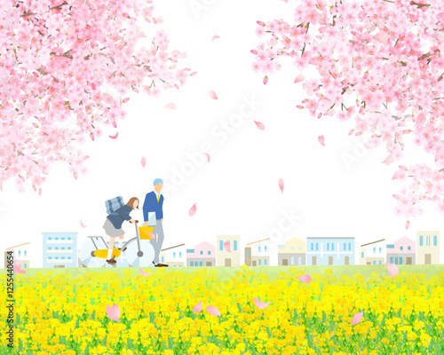 Cherry blossom trees and rape blossoms blooming along the bank, men and women students walking and biking, graduation and entrance, people vector illustration white background vector illustration