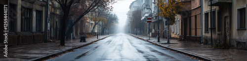 deserted urban street on foggy morning, with wet pavement and autumn trees lining sidewalks.
