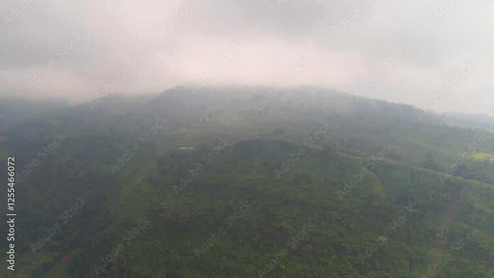 tropical landscape mountains with farmlands in fog and clouds, fields with crops, trees. Aerial view mountains are covered with forest. farm lands on mountainside Java, Indonesia. tropical landscape mountains with farmlands in fog and clouds, fields with crops, trees. Aerial view mountains are covered with forest. farm lands on mountainside Java, Indonesia.