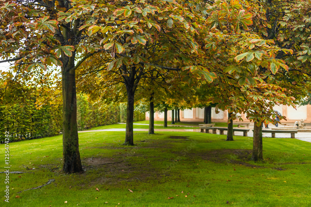 Beautiful romantic alley in a park with colorful trees, autumn landscape. High quality photo Beautiful romantic alley in a park with colorful trees, autumn landscape. High quality photo