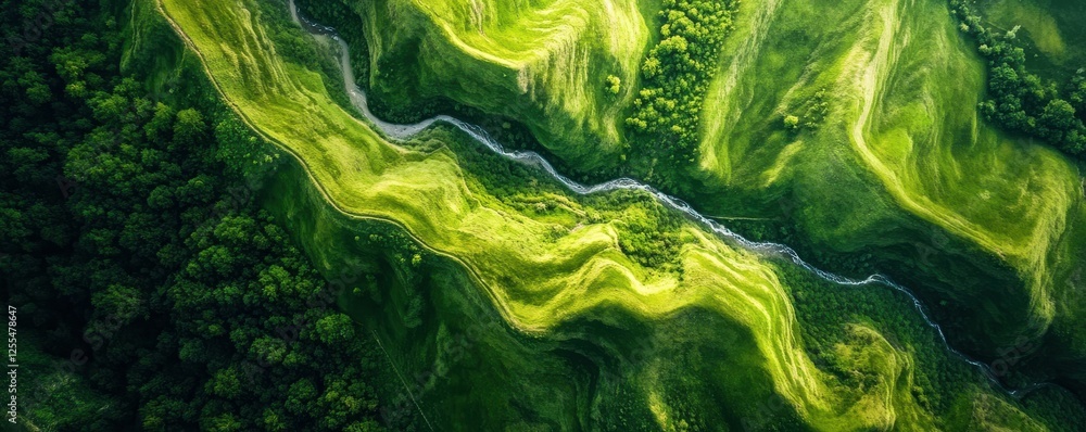 Obraz premium Aerial view of lush green hills and winding river in verdant landscape