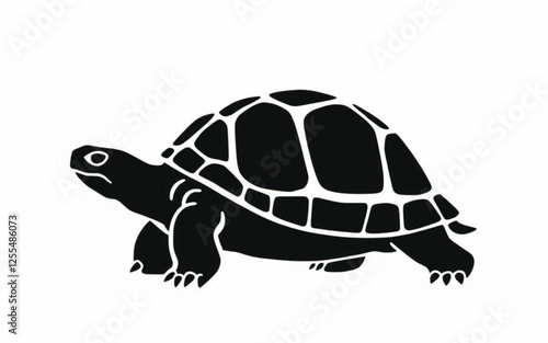 turtle on a white background