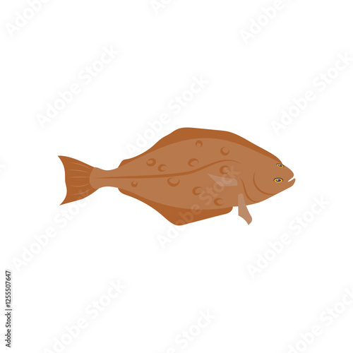 HalibutSeafood Vector Illustration, Isolated