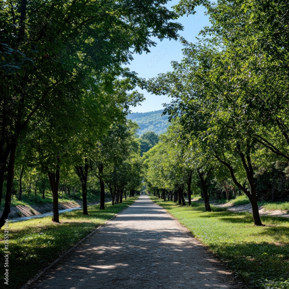 Sunlit park path, trees lining, hills in distance, peaceful scene, nature imagery Sunlit park path, trees lining, hills in distance, peaceful scene, nature imagery