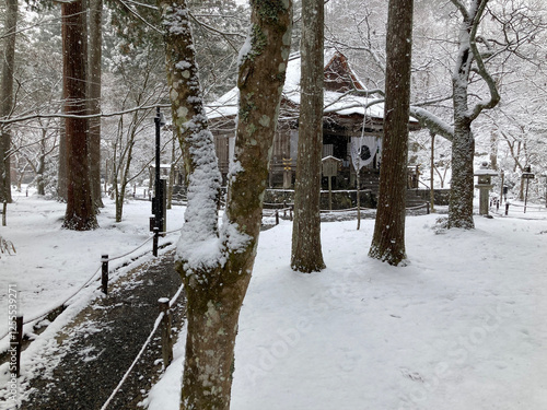 雪化粧の三千院 photo