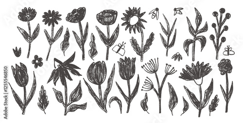 Hand drawn flowers and leaves set. Charcoal linocut poppy, tulip, daisy doodle monochrome. Floral aster and marguerite kids chalk style shape. Vector black pencil illustration on white background.
