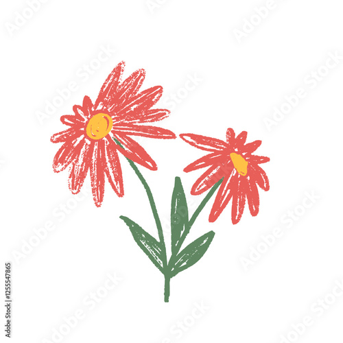 Two echinacea flowers crayon drawn. Spring doodle Summer floral kids element. Chalk or pastel style childish scrawl wildflower shape. Vector naive illustration by pencil isolated on white background.
