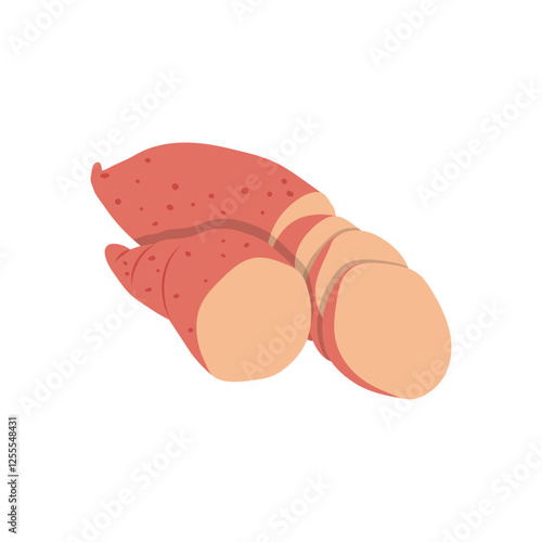 Sweet Potatoes , Autumn Isolated Vector Illustration