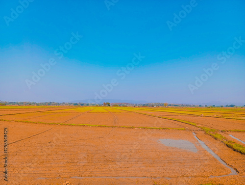 plowed field in spring