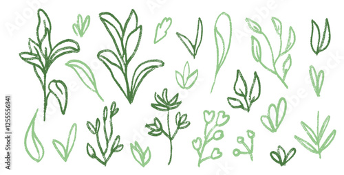 Grass and leaves line crayon drawn set. Spring plants doodle. Summer floral kids elements. Chalk or pastel outline style childish shape. Vector naive pencil illustration isolated on white background.